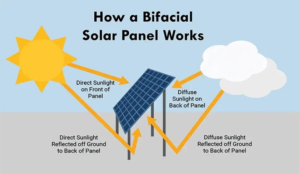 Bifaciale Solarmodule - wie funktionieren sie?